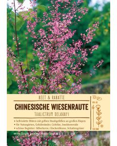 Sortenschild, Thalictrum dipterocarpum