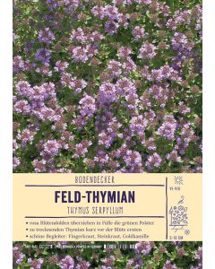 Sortenschild, Thymus serpyllum