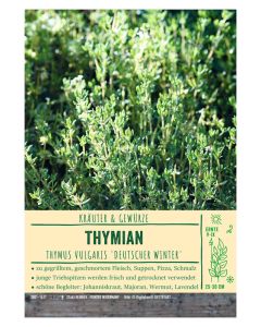 Sortenschild, Thymus vulg. 'Dt. Winter'