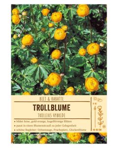 Sortenschild, Trollius Hybride