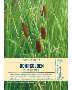 Sortenschild, Typha laxmannii