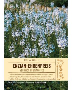 Sortenschild, Veronica gentianoides
