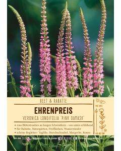 Sortenschild, Veronica longifolia 'Pink Damask'