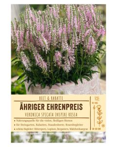 Sortenschild, Veronica spicata 'Rosea'