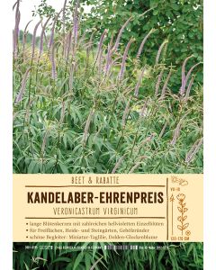 Sortenschild, Veronicastrum virginicum