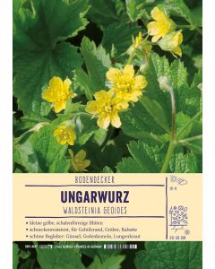 Sortenschild, Waldsteinia geoides