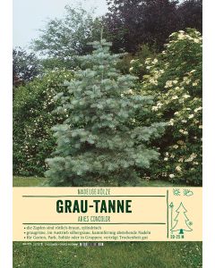 Sortenschild, Abies concolor