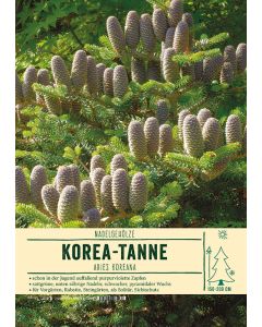 Sortenschild, Abies koreana
