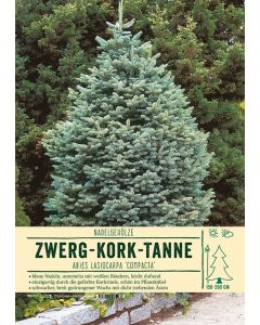 Sortenschild, Abies lasiocarpa 'Compacta'