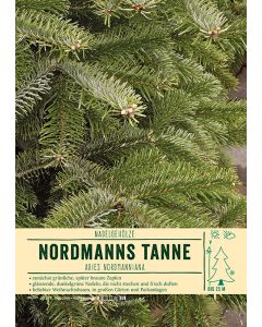 Sortenschild, Abies nordmanniana