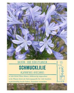 Sortenschild, Agapanthus africanus