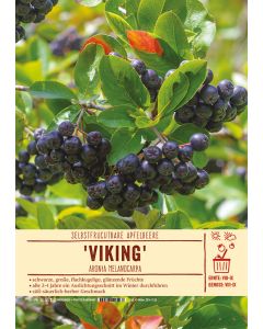 Sortenschild, Aronia melanocarpa 'Viking'