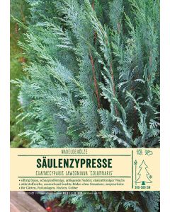 Sortenschild, Chamaecyparis laws. 'Columnaris'