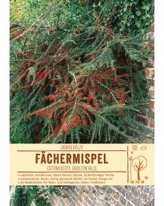 Sortenschild, Cotoneaster horizontalis