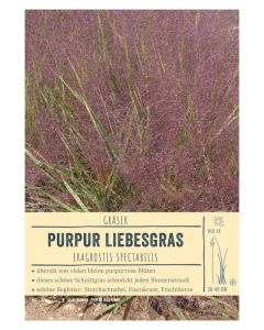 Sortenschild, Eragrostis spectabilis
