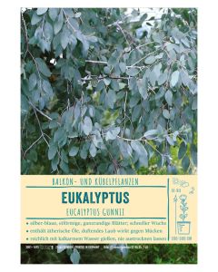 Sortenschild, Eucalyptus gunnii