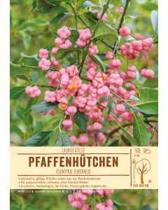 Sortenschild, Euonymus europaeus