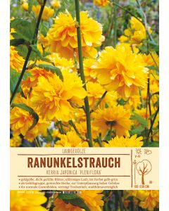 Sortenschild, Kerria japonica 'Pleniflora'