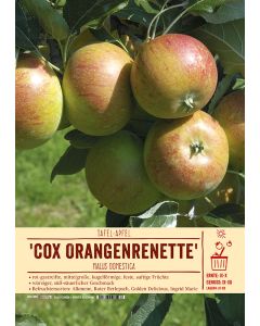 Sortenschild, Malus domestica 'Cox Orangenrenette'