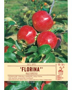 Sortenschild, Malus domestica 'Florina' (R)