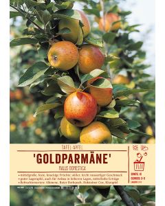 Sortenschild, Malus domestica 'Goldparmäne'
