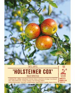 Sortenschild, Malus domestica 'Holsteiner Cox'