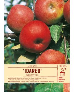 Sortenschild, Malus domestica 'Idared'