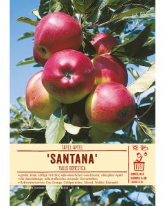 Sortenschild, Malus domestica 'Santana'