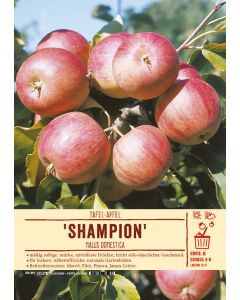 Sortenschild, Malus domestica 'Shampion'