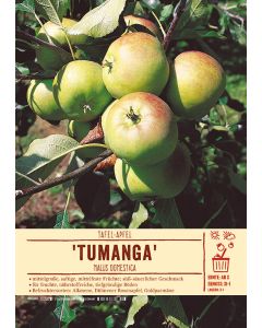 Sortenschild, Malus domestica 'Tumanga'