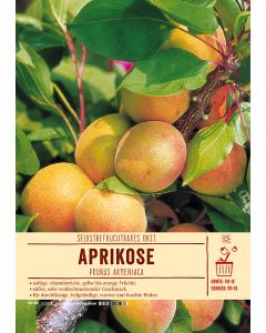 Sortenschild, Prunus armeniaca