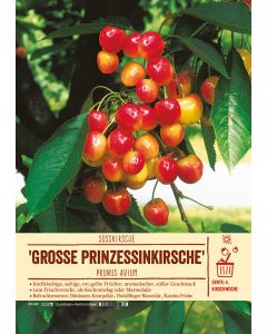 Sortenschild, Prunus avium 'Große Prinzessinkirsche'