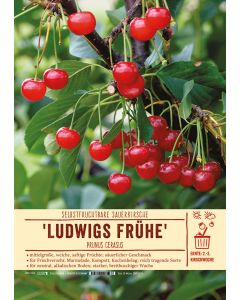 Sortenschild, Prunus cerasus Ludwigs Frühe