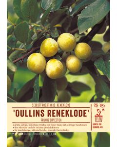 Sortenschild, Prunus domestica 'Oullins Reneklode'
