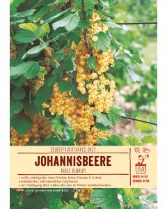 Sortenschild, Ribes rubrum