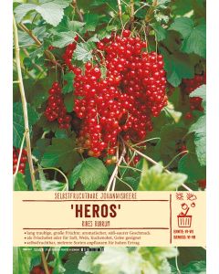 Sortenschild, Ribes rubrum 'Heros'
