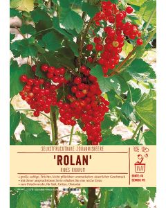 Sortenschild, Ribes rubrum 'Rolan'