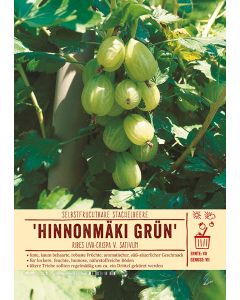 Sortenschild, Ribes uva-crispa v. sativum 'Hinnonmäki grün'
