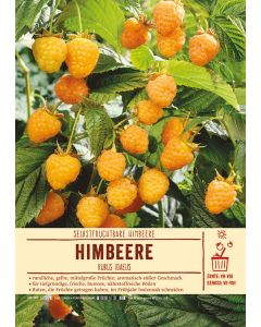 Sortenschild, Rubus idaeus