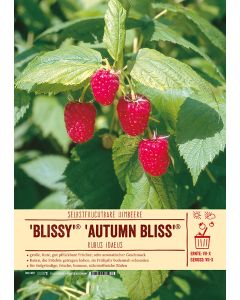 Sortenschild, Rubus idaeus 'BLISSY'(R) 'autumn bliss'(S)