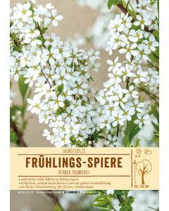 Sortenschild, Spiraea thunbergii