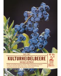Sortenschild, Vaccinium corymbosum