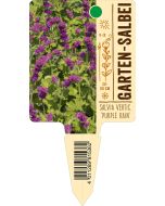 Salvia verticillata 'Purple Rain', Bildstecketikett VS: