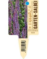 Salvia nemorosa 'Rügen', Bildstecketikett VS:
