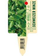Mentha spicata 'Swiss', Bildstecketikett VS: