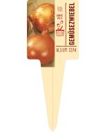 Allium cepa, Bildstecketikett VS: