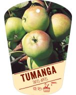 Malus domestica 'Tumanga', Bildhängeetikett VS: