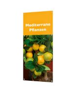 Banner "Mediterrane Pflanzen" mit Ösen