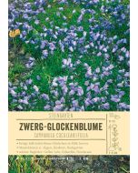 Sortenschild, Campanula cochleariifolia