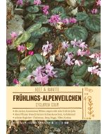 Sortenschild, Cyclamen coum